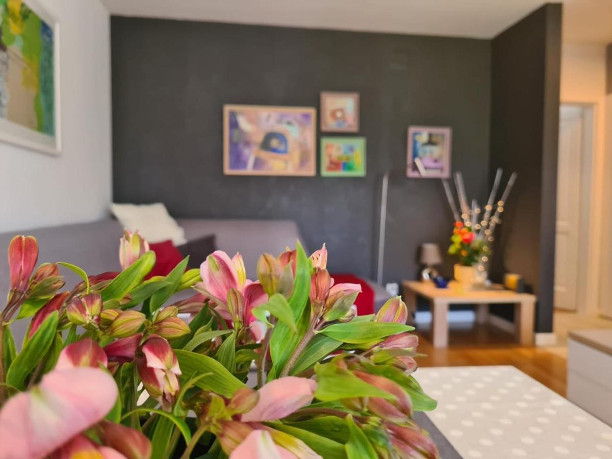 Apartment Vedrana Rovinj Eksteriør billede